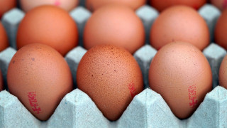 Лоша новина за цените на яйцата в ЕС, а у нас - обрат!
